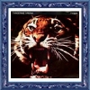 tyger